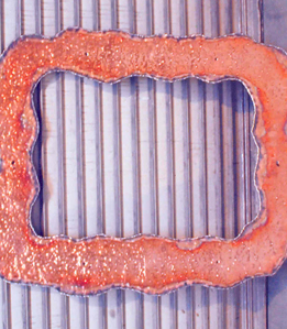 Pounded Copper Mirror Surround